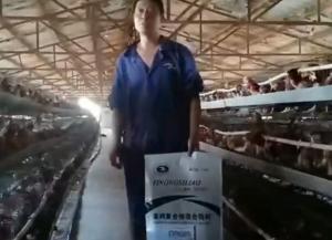原保軍在河南安陽為益農蛋雞預混料代言！